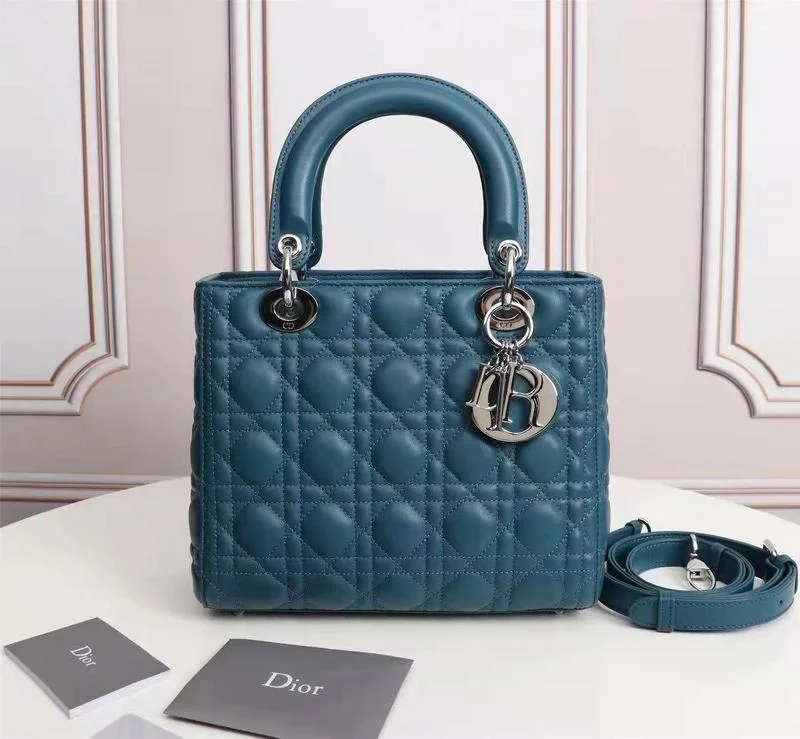 WF - Dior Bags - 424