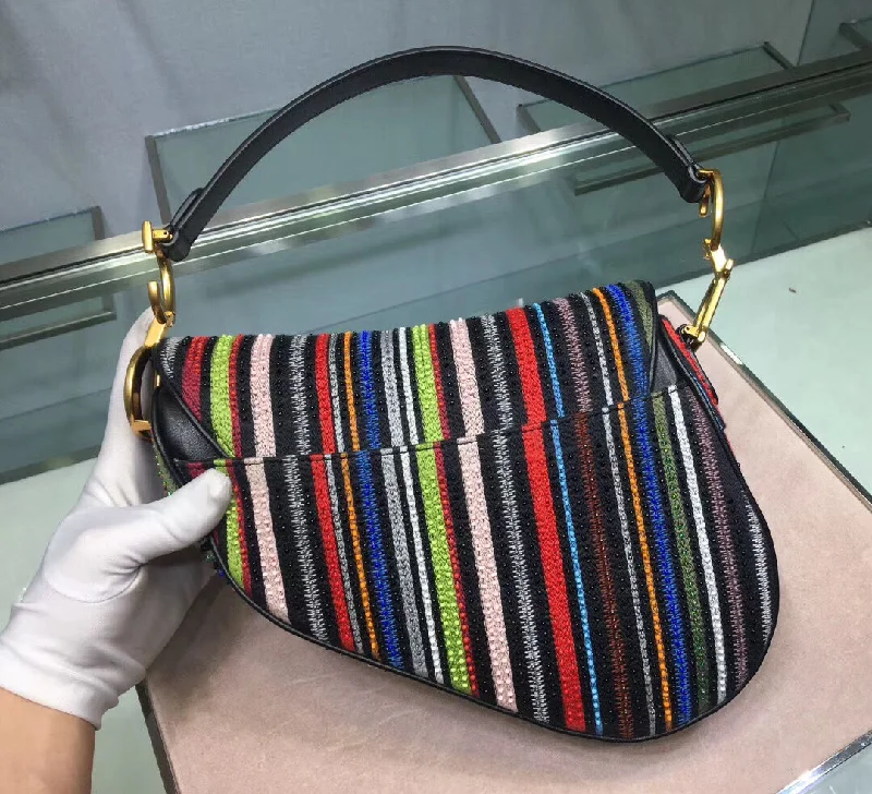 Dior Saddle Canvas Bag Embroidered With Multi-coloured Stripes